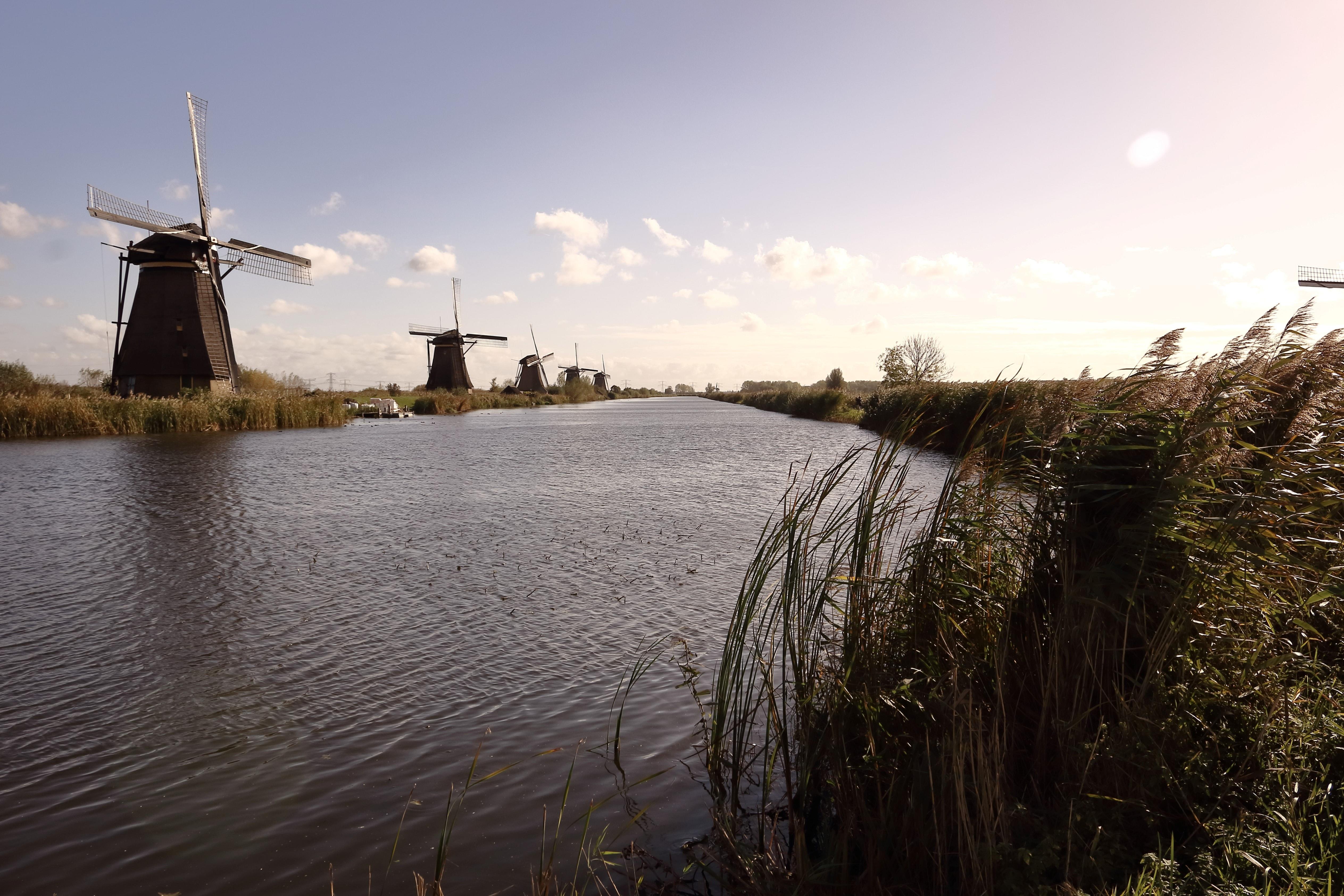 Ontdek alle elementen van de Nederlandse cultuur Ontdek alle elementen van de Nederlandse cultuur